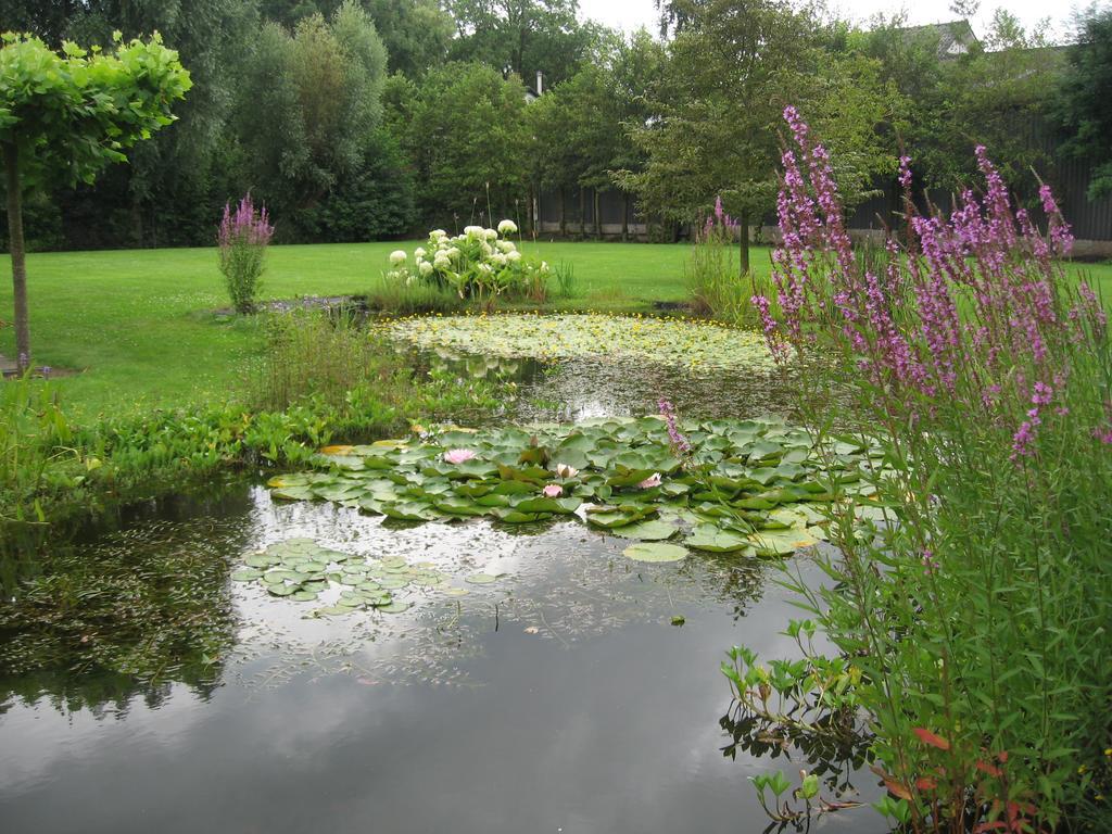 B&B Oostzomerland Mijnsheerenland Exteriér fotografie